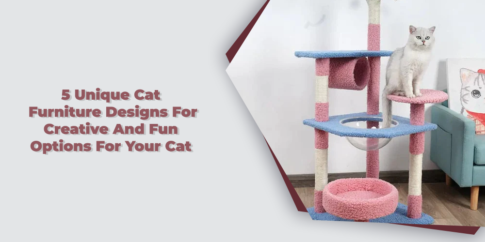 5 Unique Cat Furniture Designs For Creative And Fun Options For Your Cat