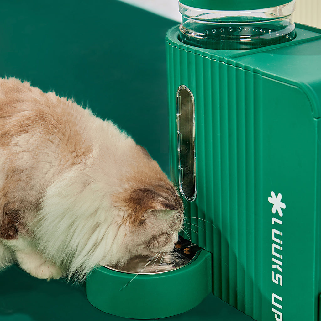Automatic pet feeder hot sale station