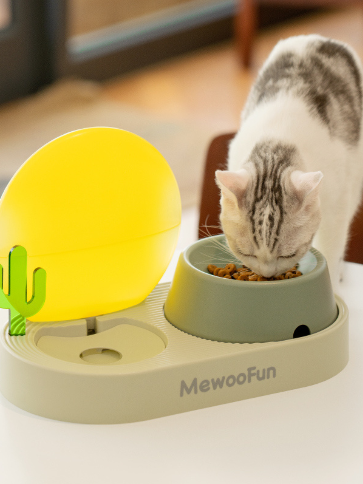 Cat bowl for messy eater deals