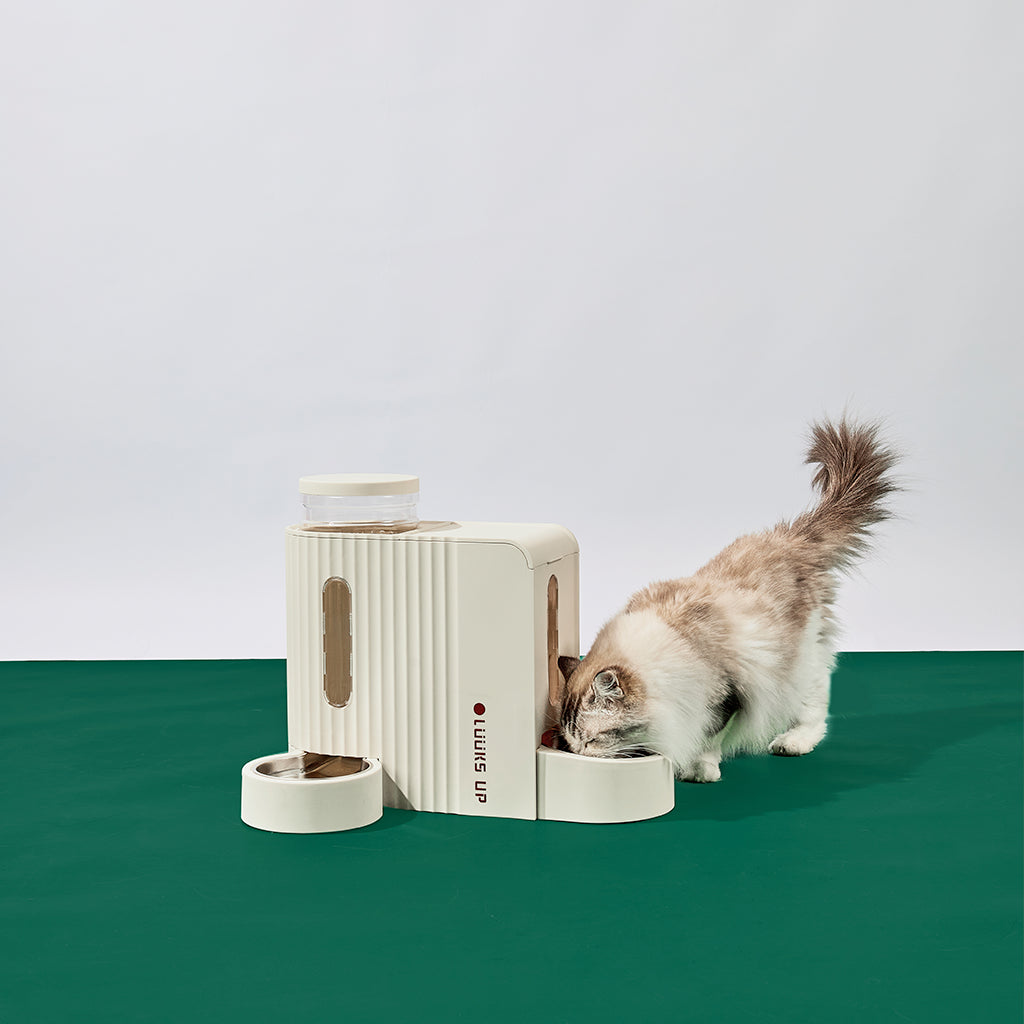 Luuks Up All-in-One Pet Water and Feeder Station