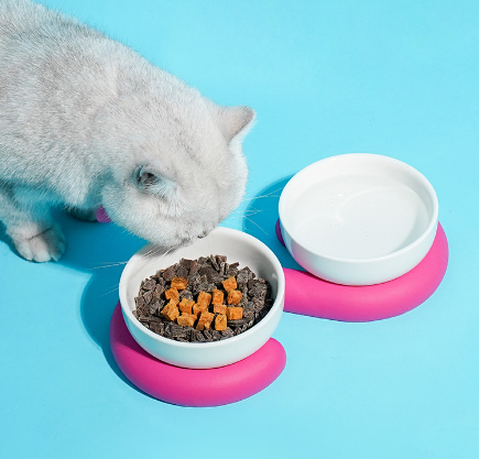 Ring-a-Ring Pet Bowl