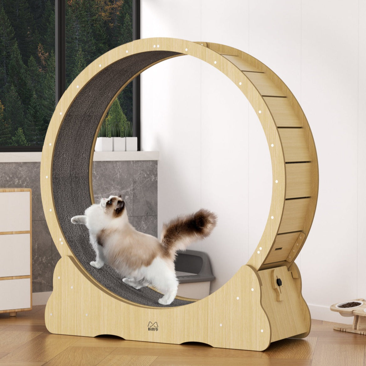 Cheap cat hotsell exercise wheel