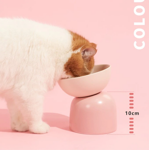 Makesure Multifunctional Cat Water & Food Bowl