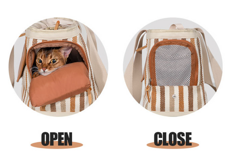 Modern Pet Breathable Travel Carrier Bag