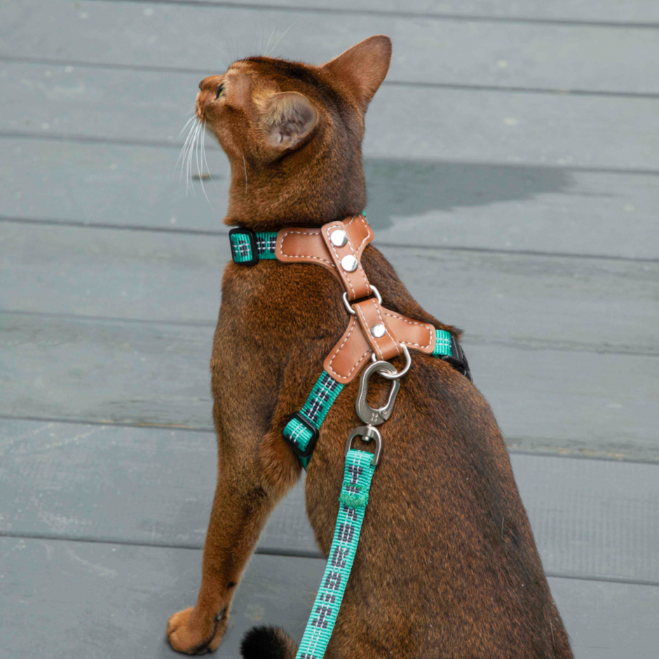 Reflective Travel Leather Cat Harness and Leash Set