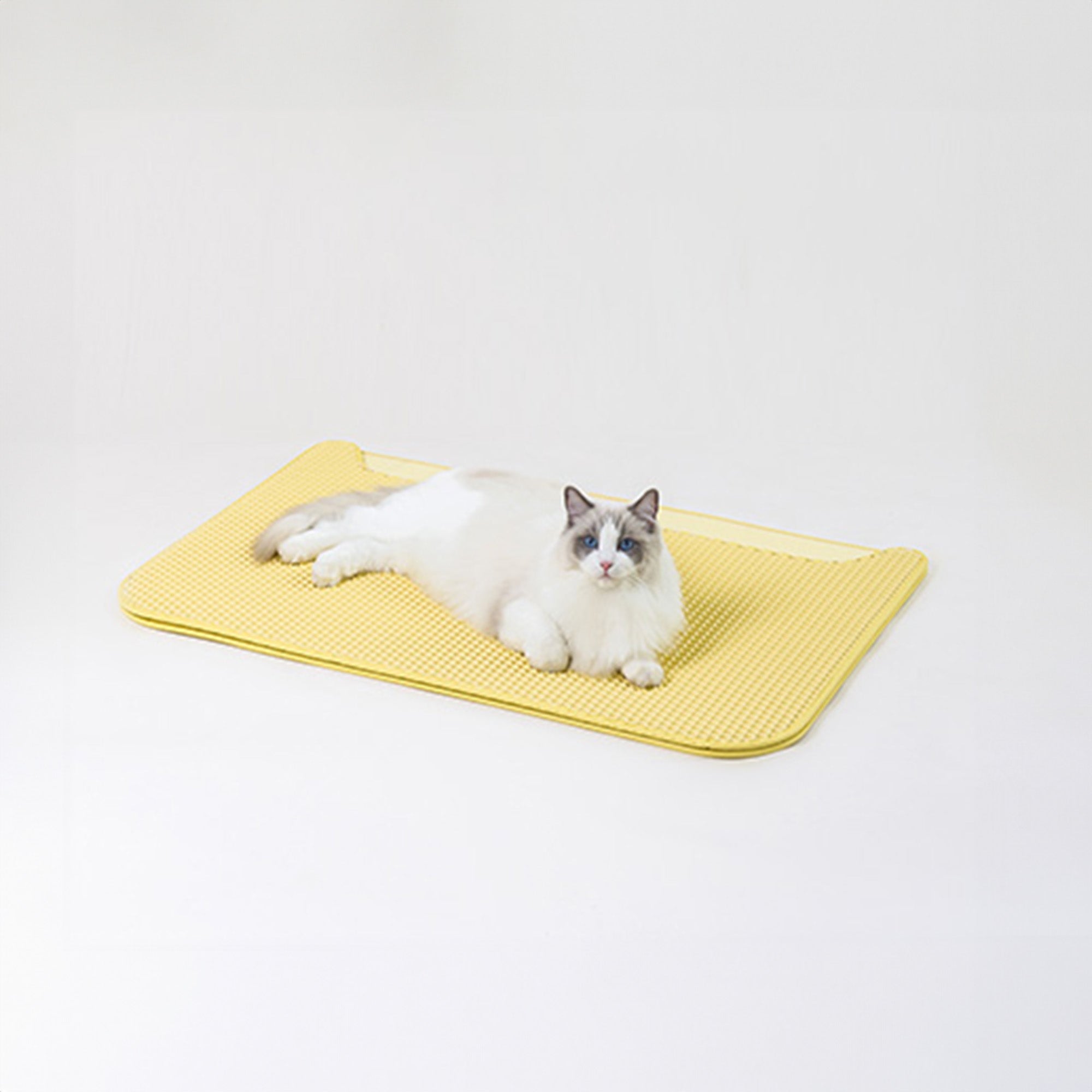 Extra large hotsell litter box mat