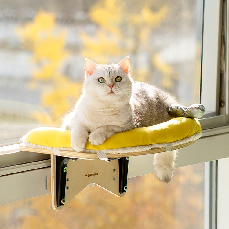 Cat Window Perch Hammock With Bolster