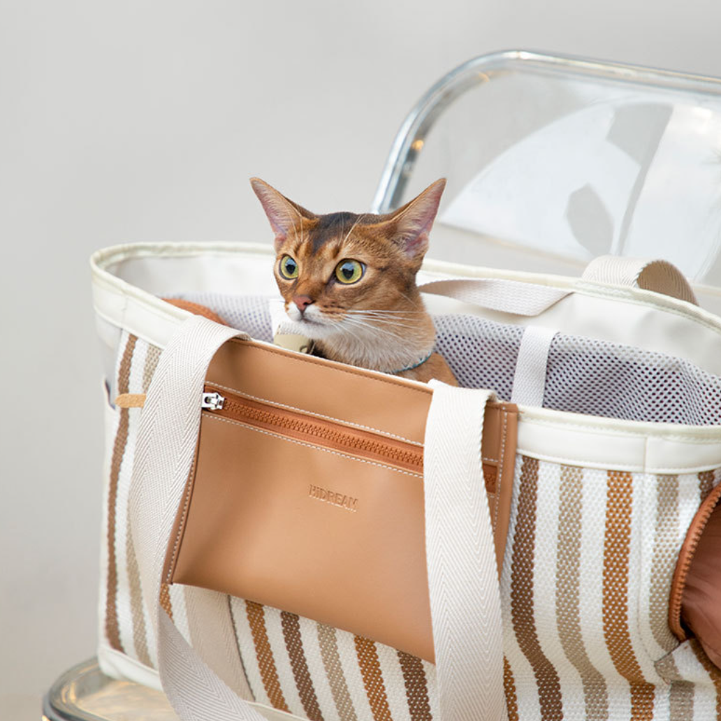 Modern Pet Breathable Travel Carrier Bag