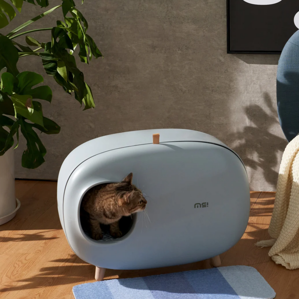 Makesure Modern Cat Litter Box And Tray