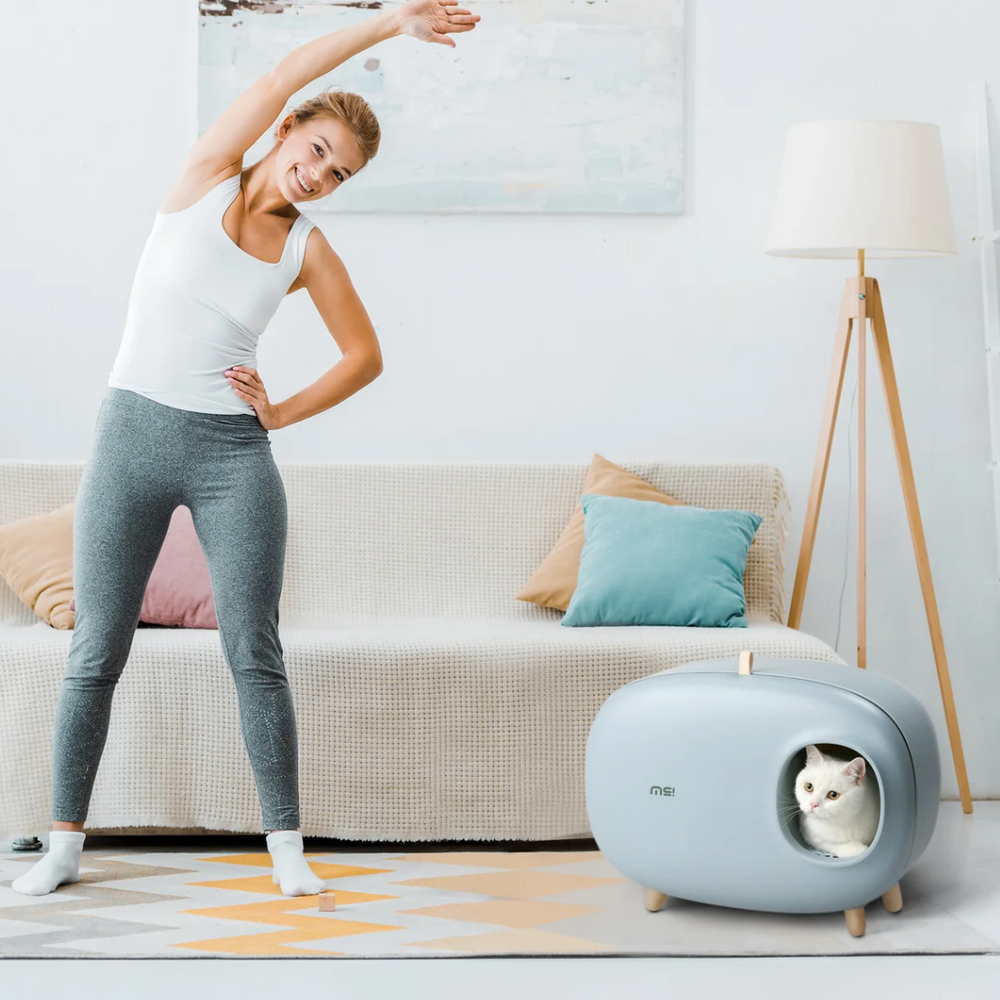 Makesure Modern Cat Litter Box And Tray