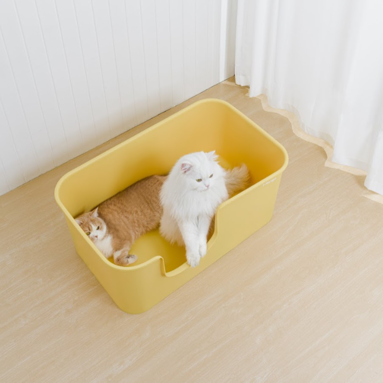 MANGO Open Oversized Splash-Proof Giant Cat Litter Box