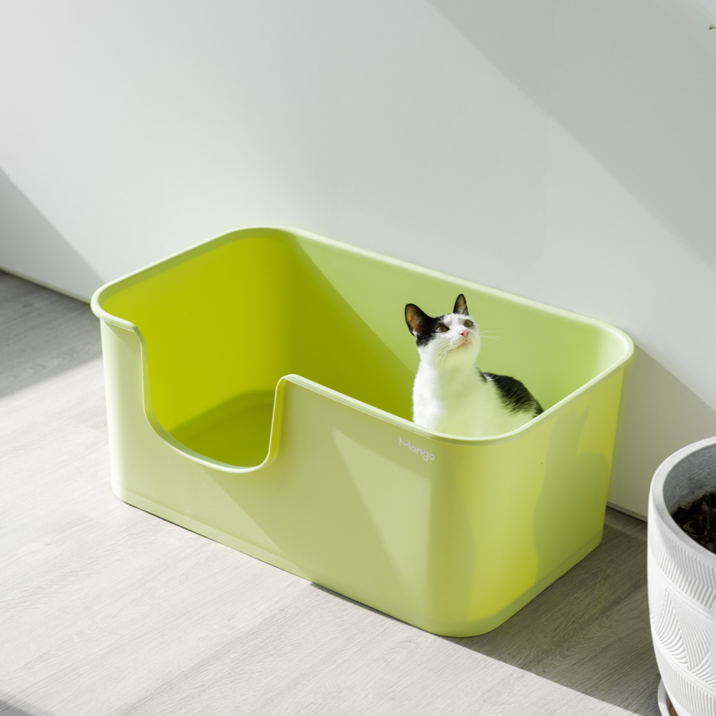 Giant cat litter clearance box