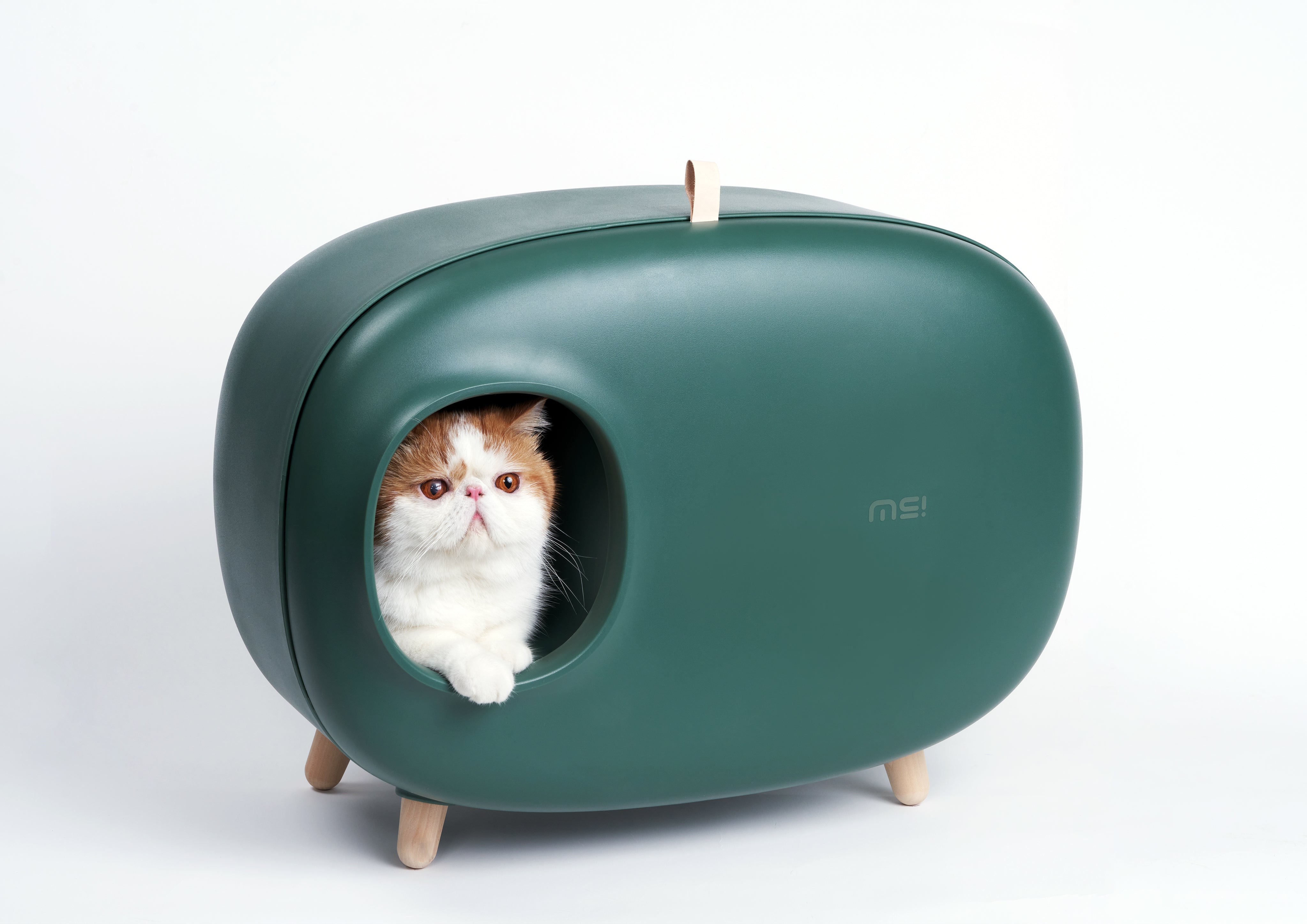 Makesure Modern Cat Litter Box And Tray