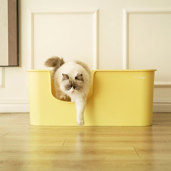 Giant litter outlet box