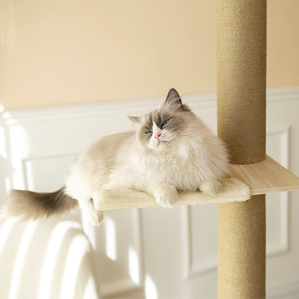 SupermarCat Floor to Ceiling Climbing Scratching Post Cat Tree - Paradise