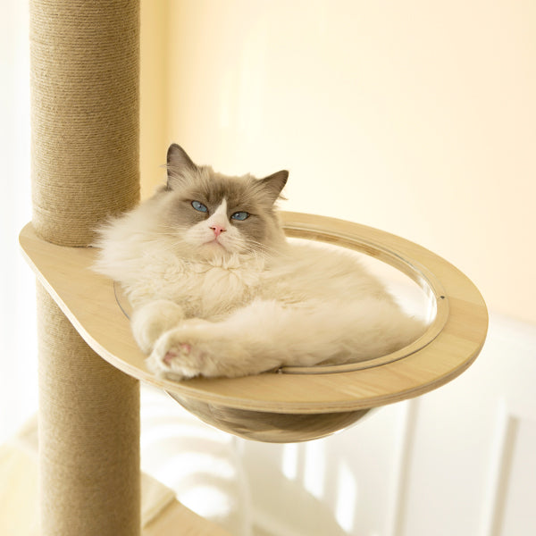 Best floor to hot sale ceiling cat tree