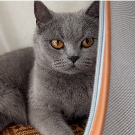 Supermarcat Large Capacity Breathable Cat Travel Bag